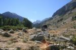 biotope