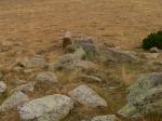 biotope