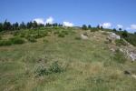 biotope